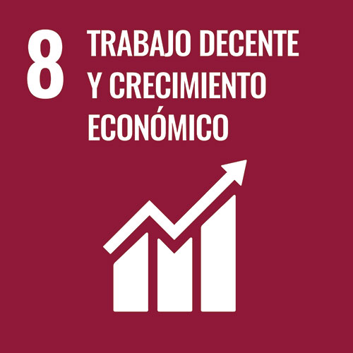 ODS 8: Trabajo decente y crecimiento económico.