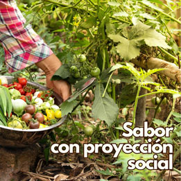 El huerto "Hermana Tierra"